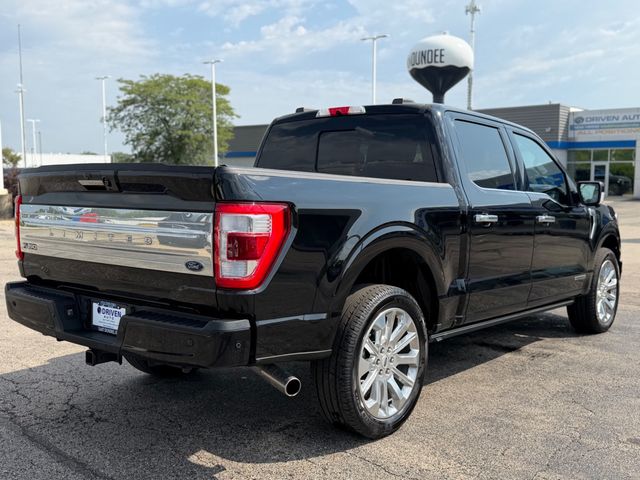 2023 Ford F-150  - 23074399 - 11