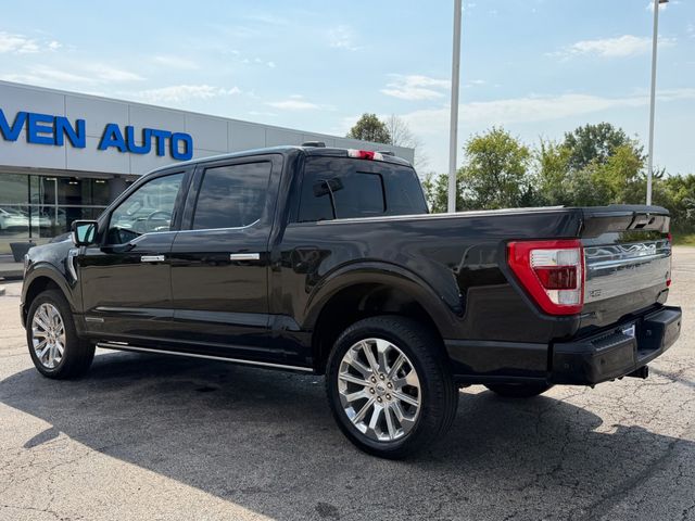 2023 Ford F-150  - 23074399 - 13