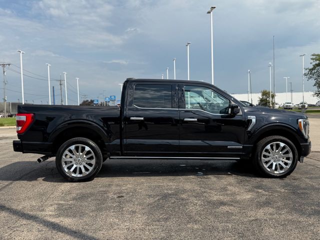 2023 Ford F-150  - 23074399 - 14
