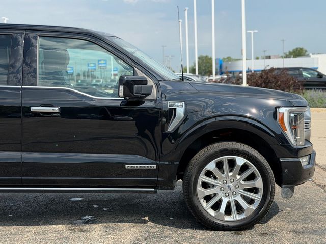 2023 Ford F-150  - 23074399 - 15