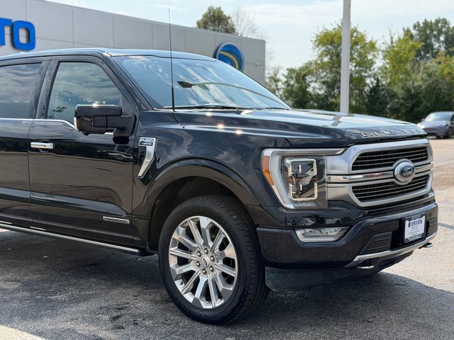 2023 Ford F-150  - 23074399 - 4