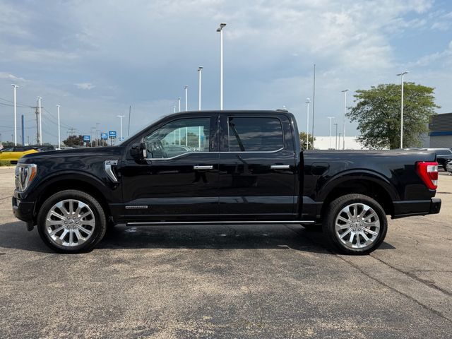 2023 Ford F-150  - 23074399 - 6