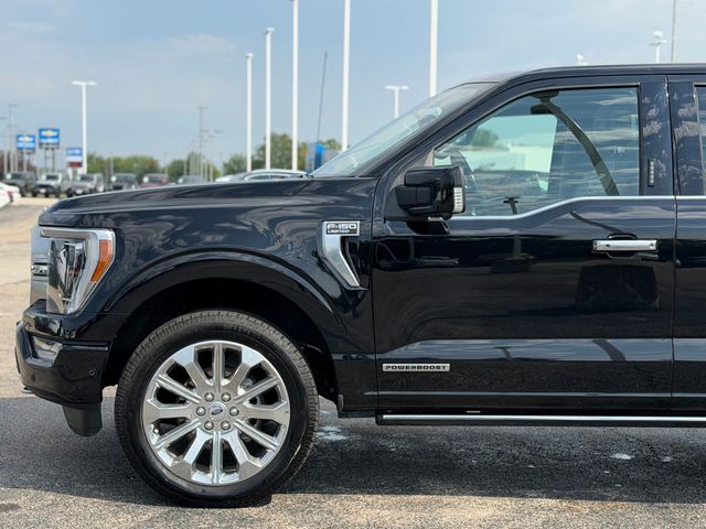 2023 Ford F-150  - 23074399 - 7