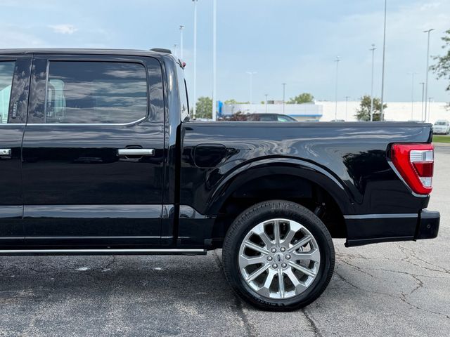 2023 Ford F-150  - 23074399 - 8