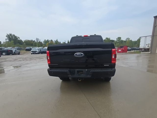 2023 Ford F-150  - 23092656 - 1