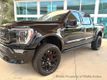 2023 Ford F-150  - 23023843 - 11