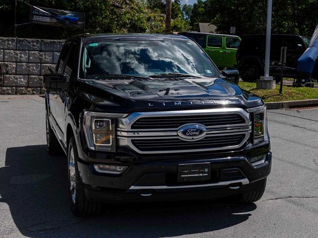 2023 Ford F-150 LIMITED - 23077033 - 2