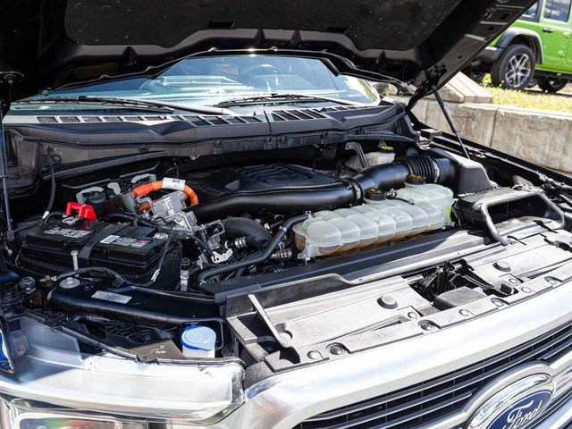 2023 Ford F-150 LIMITED - 23077033 - 30