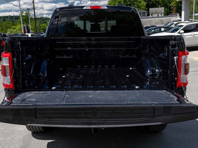 2023 Ford F-150 LIMITED - 23077033 - 31