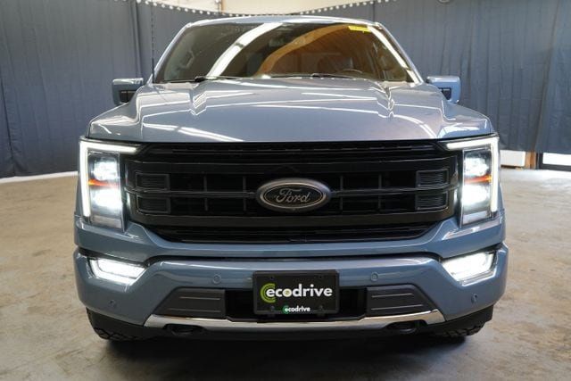 2023 Ford F-150 Platinum - 23077666 - 1