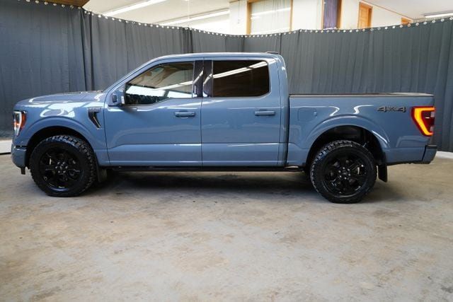 2023 Ford F-150 Platinum - 23077666 - 3