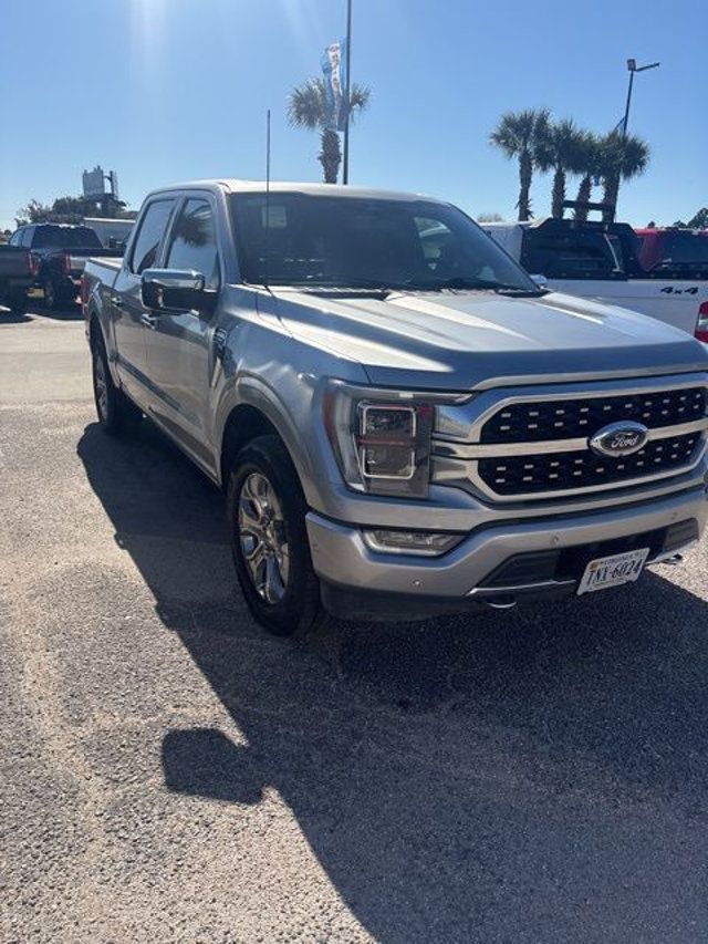 2023 Ford F-150 Platinum - 22946305 - 2