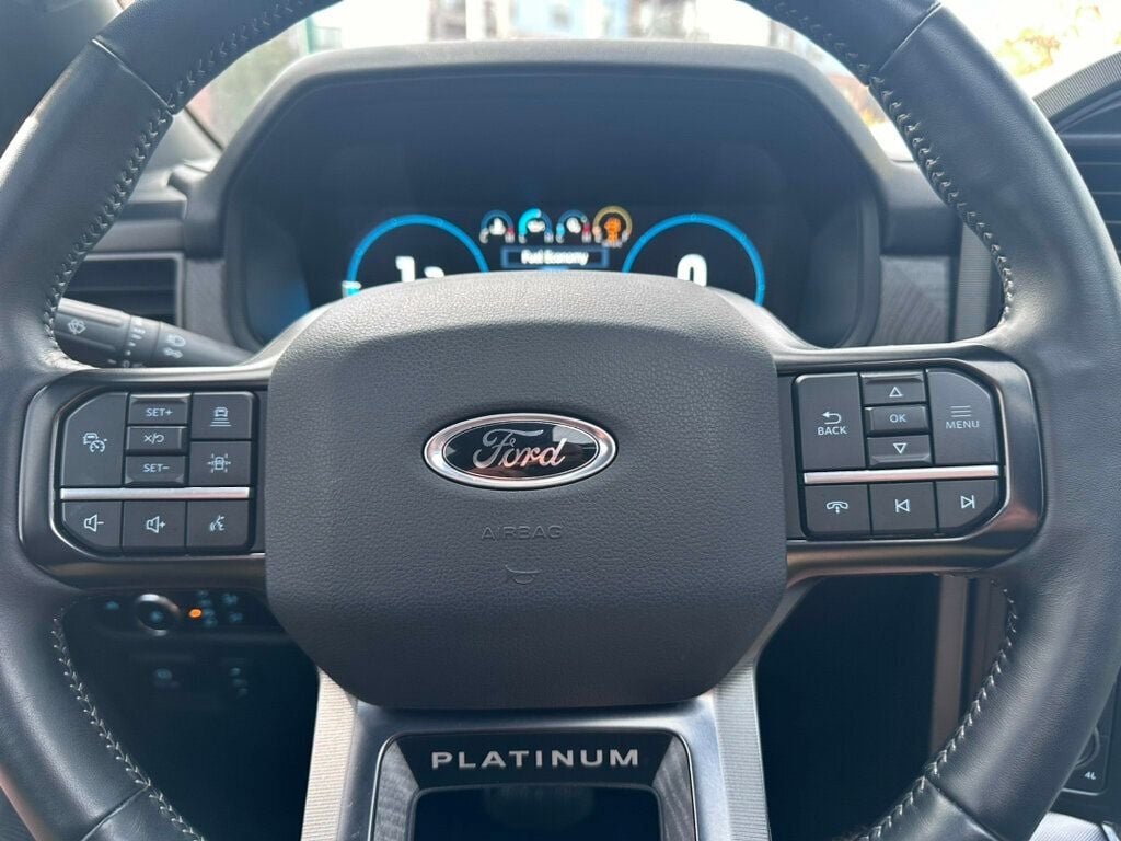 2023 Ford F-150 Platinum/4WD/B&O Unleashed/BlackApperancePkg/PanoRoof/NAV - 22675477 - 13