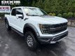 2023 Ford F-150 Raptor 4WD SuperCrew 5.5' Box - 23029857 - 0