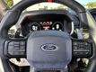 2023 Ford F-150 Raptor 4WD SuperCrew 5.5' Box - 22460335 - 25