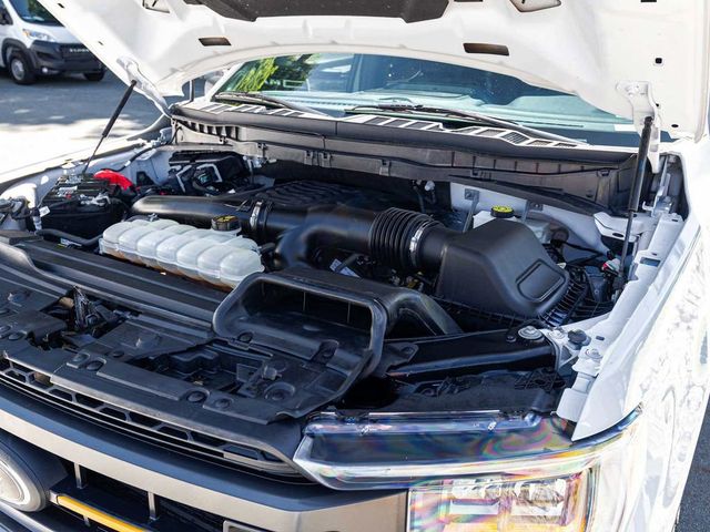 2023 Ford F-150 Tremor - 23077144 - 31