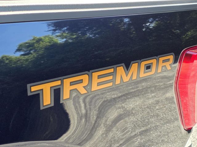 2023 Ford F-150 Tremor 4WD SuperCrew 5.5' Box - 23023405 - 39