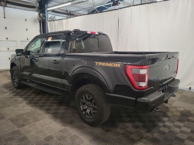 2023 Ford F-150 Tremor 4WD SuperCrew 5.5' Box - 23036299 - 3