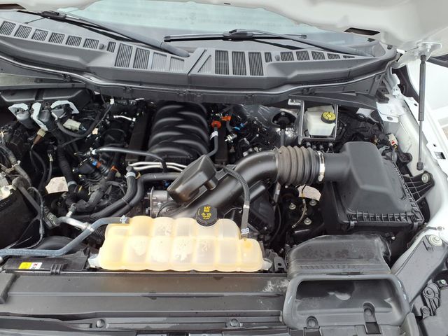2023 Ford F-150 XL - 23091065 - 17
