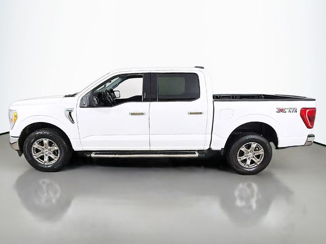 2023 Ford F-150 XLT - 23025683 - 10