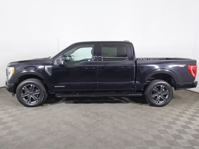 2023 Ford F-150 XLT - 23067095 - 17