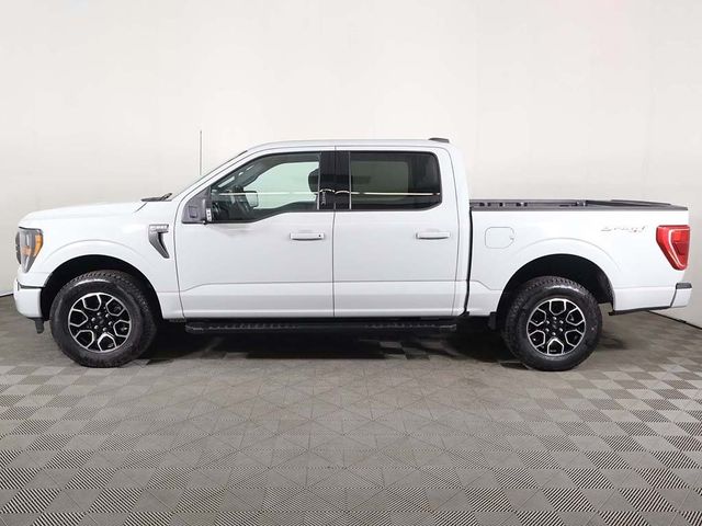 2023 Ford F-150 XLT 4WD SuperCrew 5.5' Box - 22892525 - 17