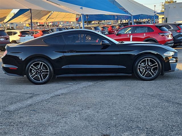 2023 Ford Mustang EcoBoost Fastback - 22663241 - 4