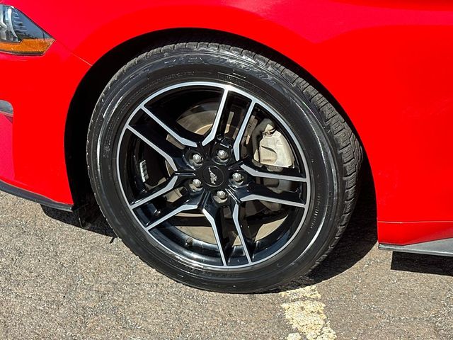 2023 Ford Mustang EcoBoost Premium Convertible - 22980597 - 11