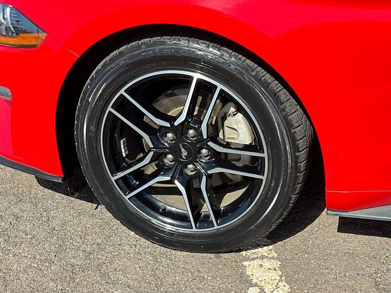 2023 Ford Mustang EcoBoost Premium Convertible - 22980597 - 11