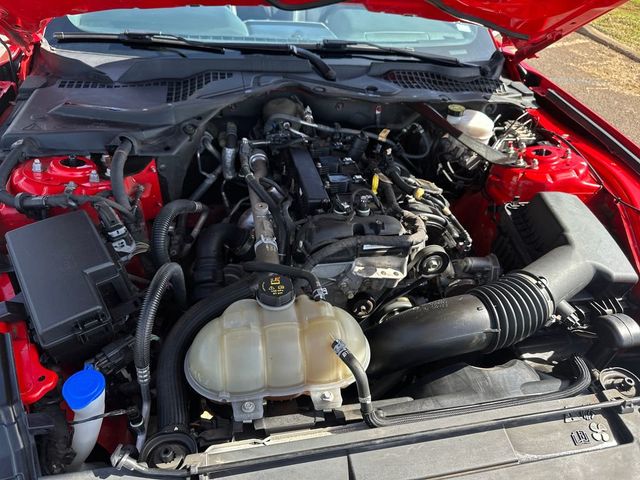 2023 Ford Mustang EcoBoost Premium Convertible - 22980597 - 20