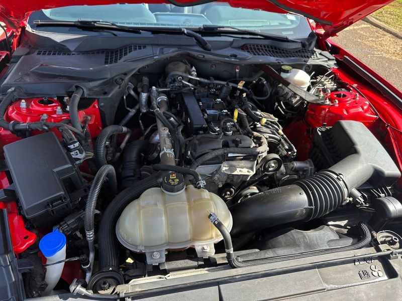 2023 Ford Mustang EcoBoost Premium Convertible - 22980597 - 20