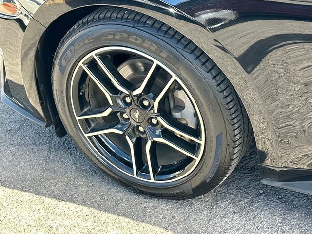 2023 Ford Mustang EcoBoost Premium Fastback - 22936643 - 11