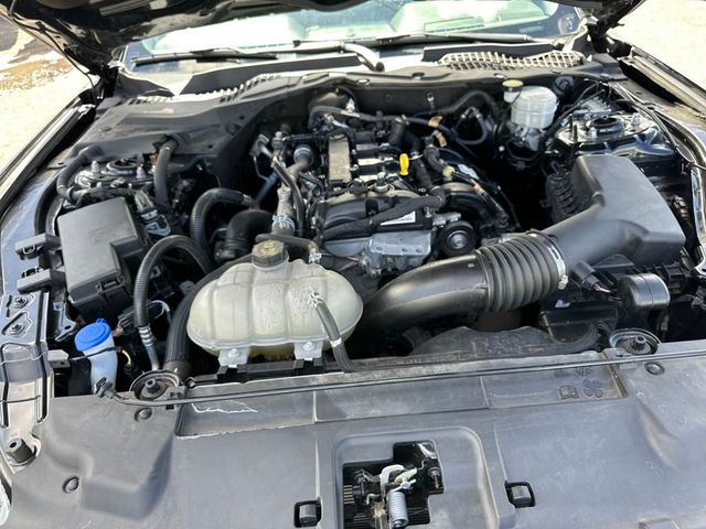 2023 Ford Mustang EcoBoost Premium Fastback - 22936643 - 20