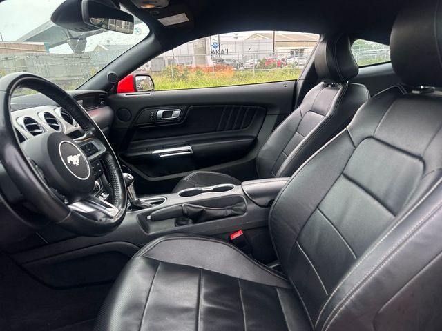 2023 Ford Mustang EcoBoost Premium Fastback - 22997321 - 12