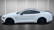2023 Ford Mustang GT Premium Fastback - 23055991 - 11