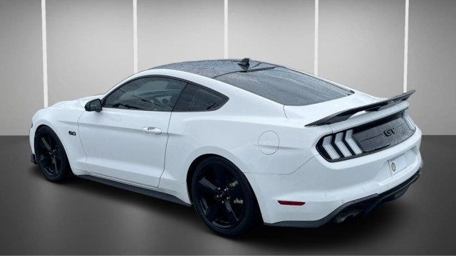 2023 Ford Mustang GT Premium Fastback - 23055991 - 1