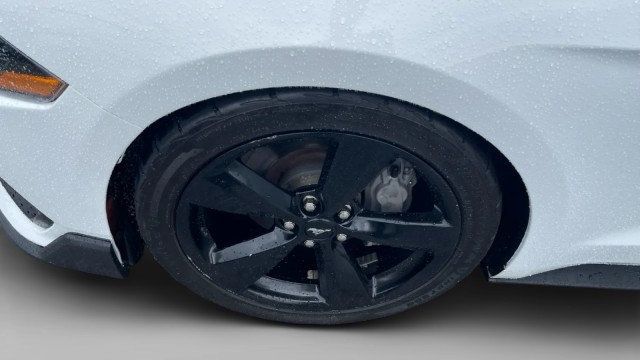 2023 Ford Mustang GT Premium Fastback - 23055991 - 5