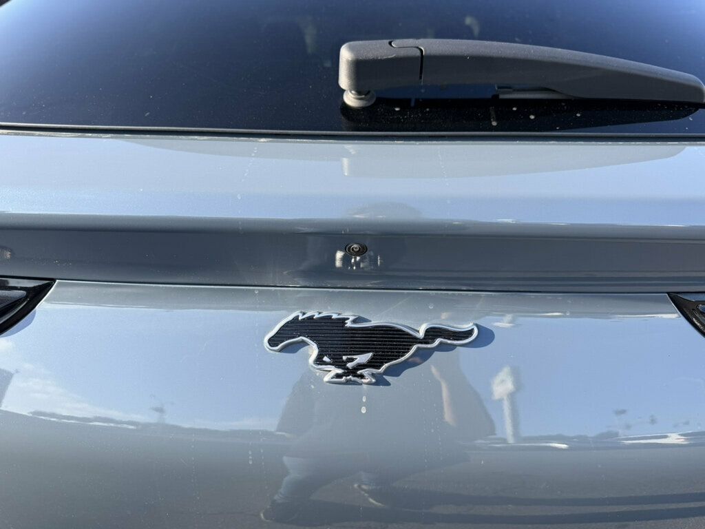 Ford Mustang Mach-E photo 23