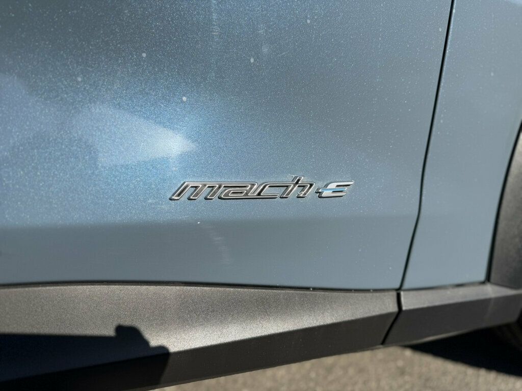 Ford Mustang Mach-E photo 25