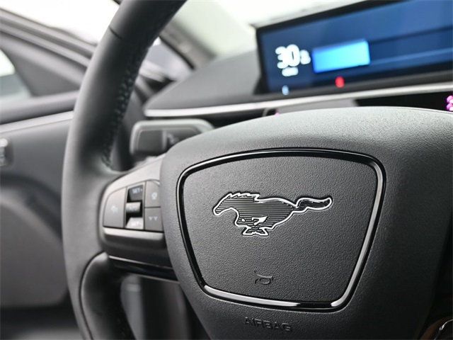 2023 Ford Mustang Mach-E Select photo 16