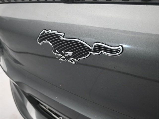 2023 Ford Mustang Mach-E Select photo 19