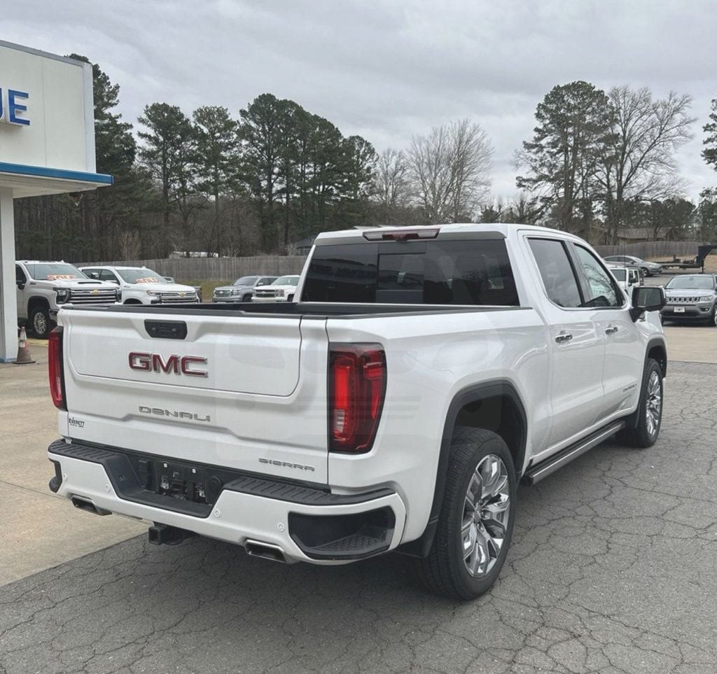 2023 GMC Sierra 1500 Denali - 22769929 - 6