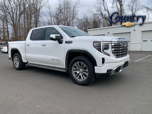 2023 GMC Sierra 1500 Denali - 22782419 - 0