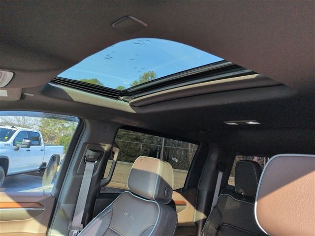 2023 GMC Sierra 1500 Denali - 23003437 - 20