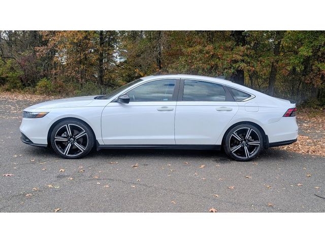 2023 Honda Accord Hybrid Sport - 22913816 - 3