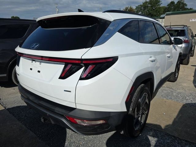 2023 Hyundai Tucson Limited - 23083851 - 1