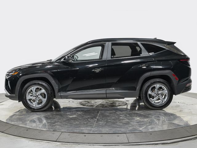 2023 Hyundai Tucson SEL - 23091235 - 1