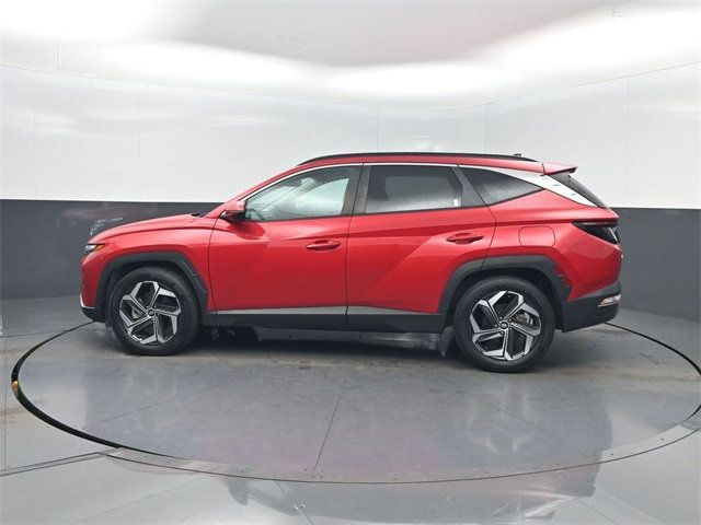 2023 Hyundai Tucson SEL FWD - 22954254 - 1