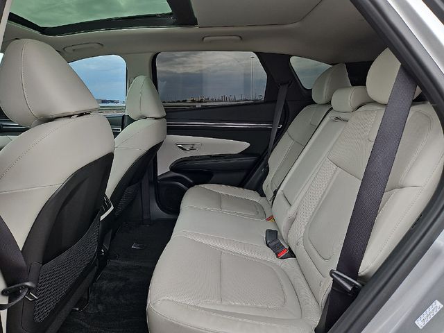 2023 Hyundai Tucson Plug-In Hybrid Limited AWD - 23087697 - 6