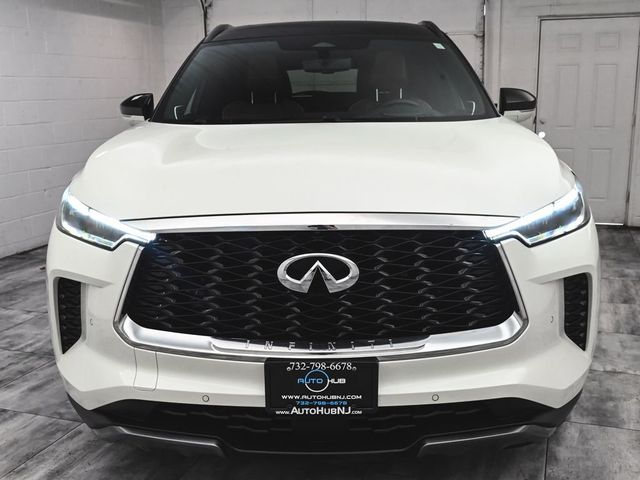 2023 INFINITI QX60 Autograph - 23016762 - 1